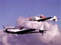 Leichtflugzeug Twister