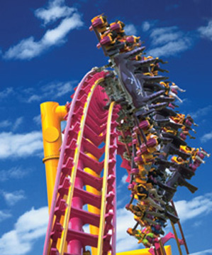 plastic bushing for roller coaster