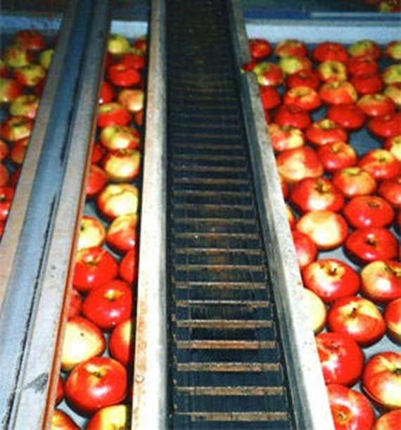 Serie R68 in einer Apfelsortieranlage, in ständigem Kontakt mit Feuchtigkeit und Schmutz