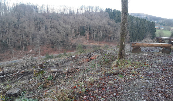 Künftige Aufforstungsfläche im Gemeindewald Lindlar