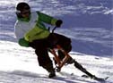 Skibikes